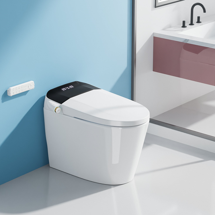 Home Bathroom Toilet - Home Decoration Bathroom Smart Electronic Automatic