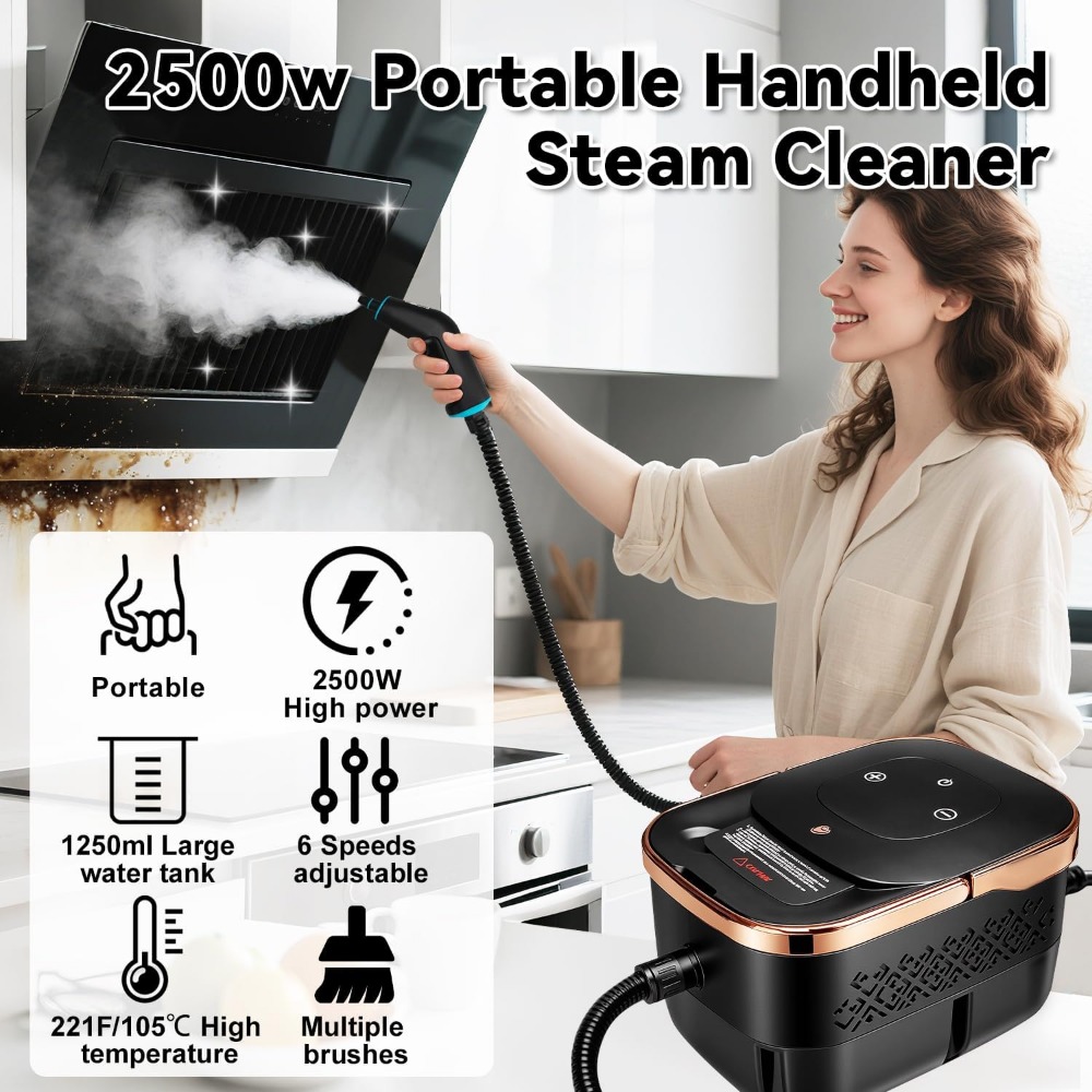 2500W Portable Steam Cleaner,  - Home Bathroom Images 评论和价格