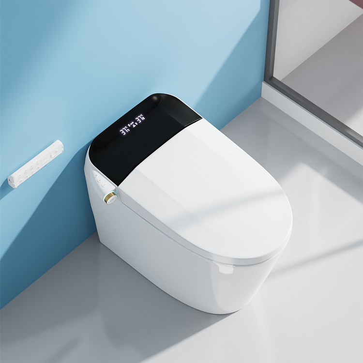 Home Decoration Bathroom Smart - Home Bathroom Toilet 评论和价格