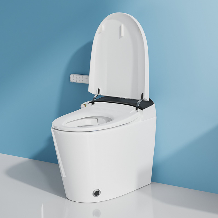 Home Decoration Bathroom Smart - Home Bathroom Toilet 评论和价格