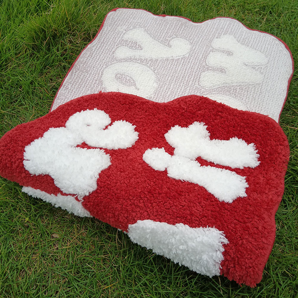 Non-Slip Carpet with Letter Pa - Home Bathroom Door Design 评论和价格